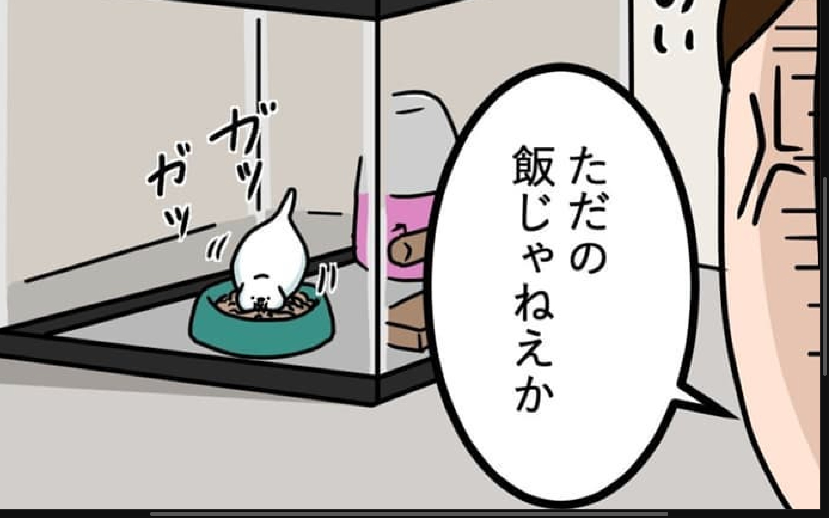 【漫画】第51話：「ご飯を食べに来ただけなんだけど…」思わせぶりなインコの行動にクスッ【マロくん】