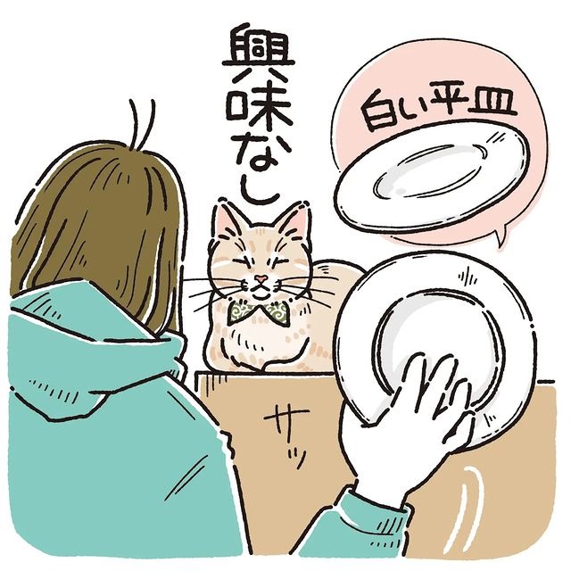 猫　皿　漫画