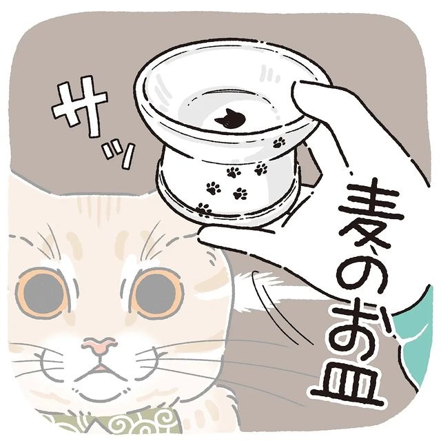 猫　皿　漫画
