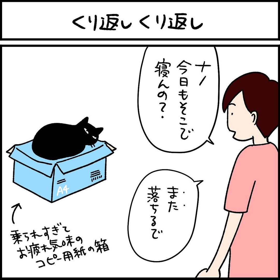 漫画　猫　箱
