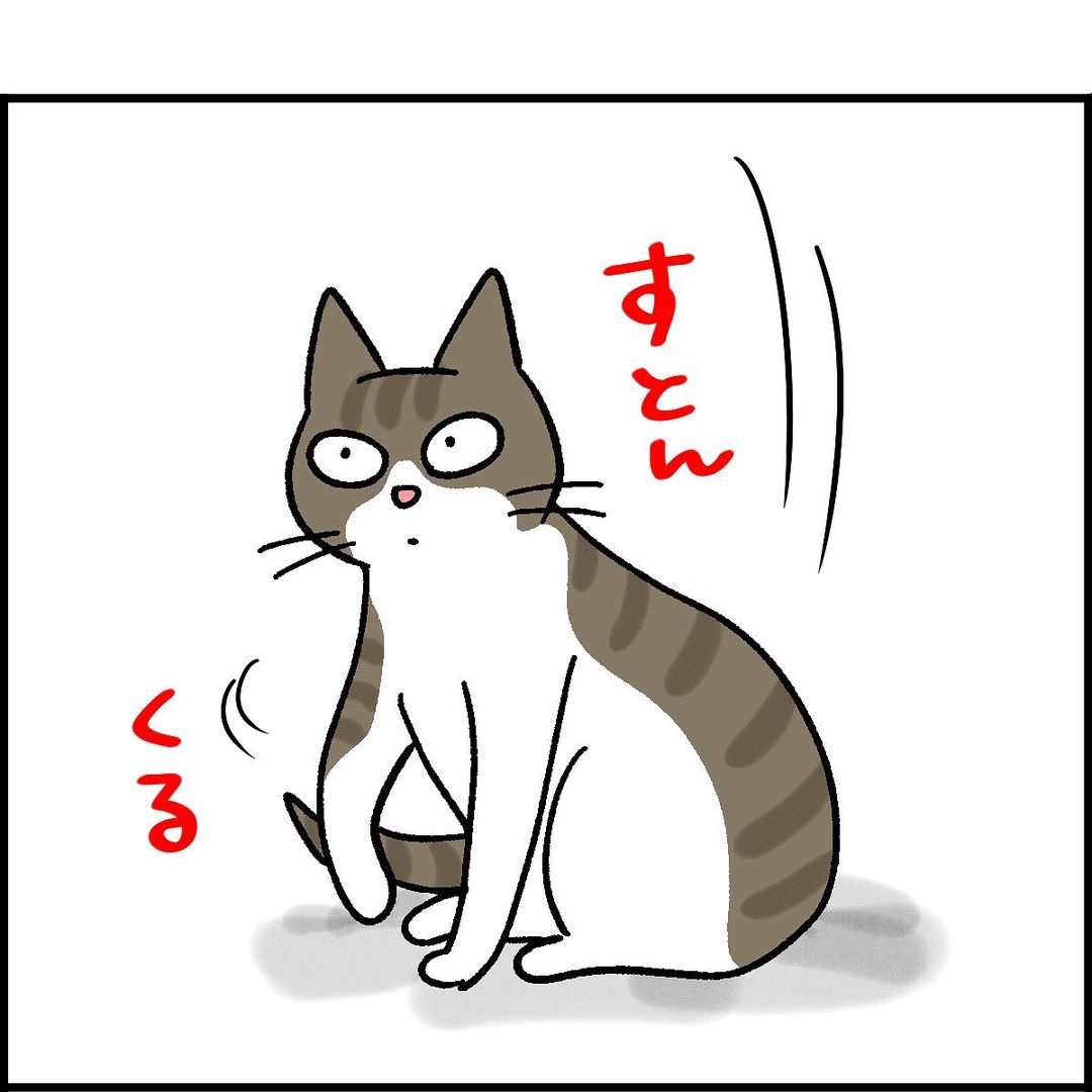 猫　漫画　しっぽ