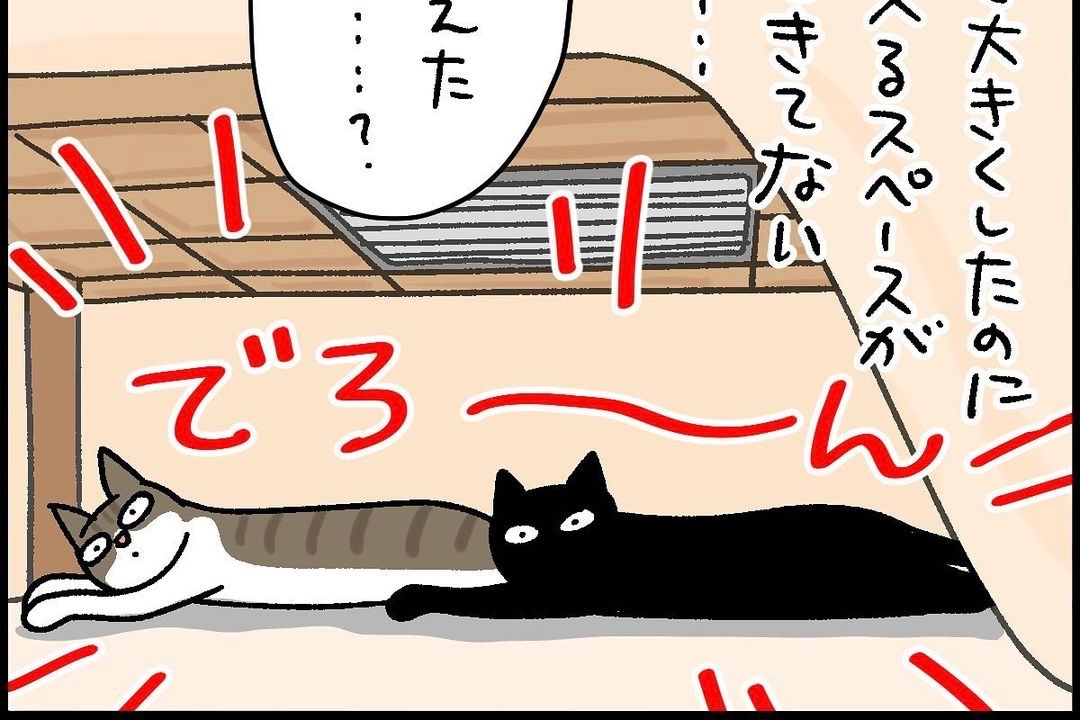 【漫画】第101話：もはや幻想？！猫はこたつで丸くなるのかの真相は！【きなこちゃん】