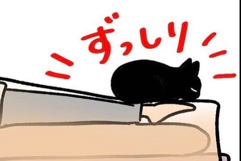【漫画】第102話：もはや必殺技？絶対動けなくなる位置を把握している猫くんにクスッ【ナノくん】