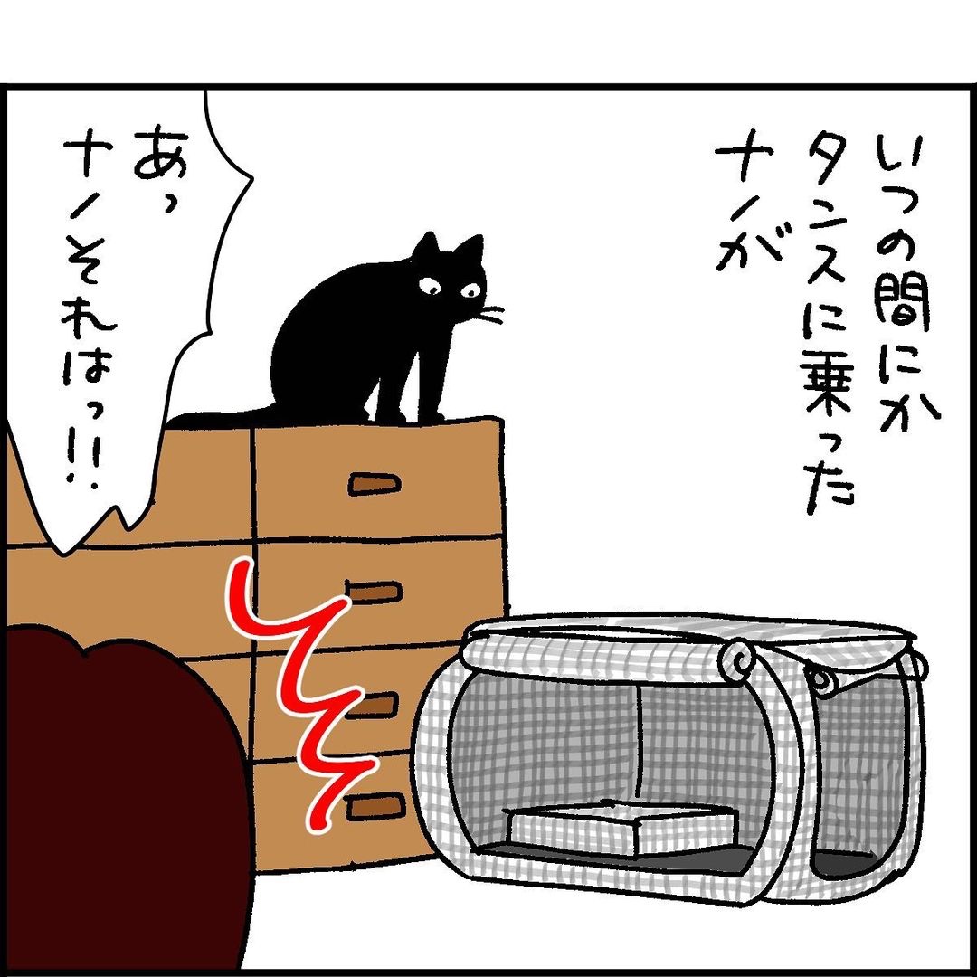 漫画　猫　ケージ