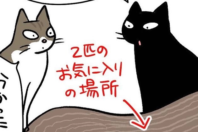 【漫画】第115話：条約は遵守する猫！どうしても退いて欲しかった故の行動にキュン♡【ナノくん】