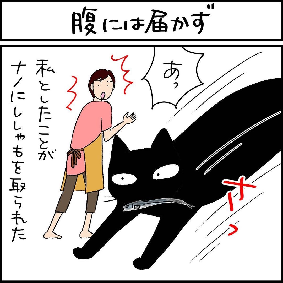 漫画　猫　シシャモ