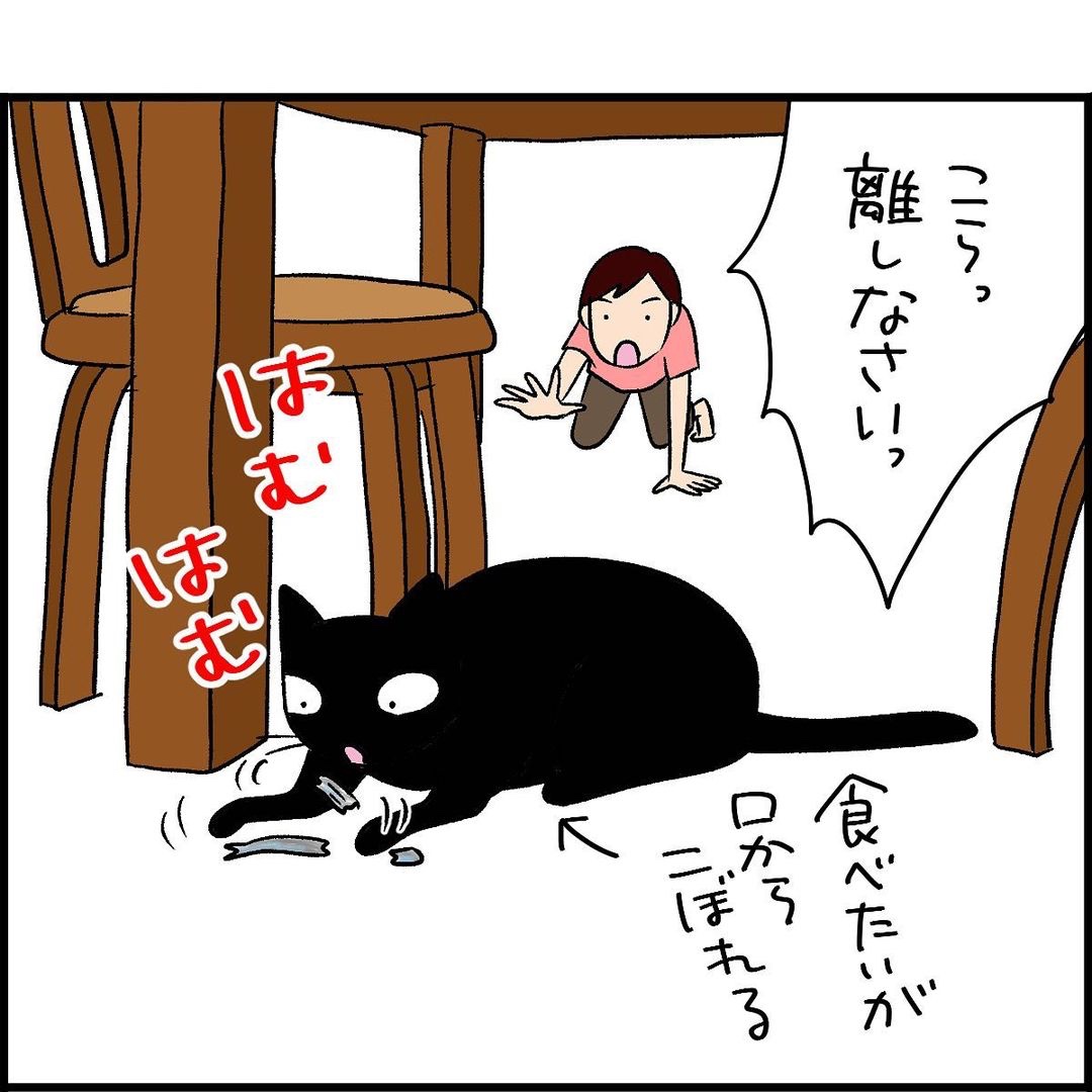 漫画　猫　シシャモ
