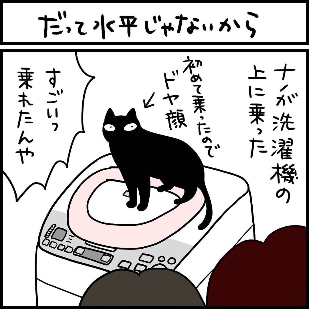 漫画　猫　洗濯機