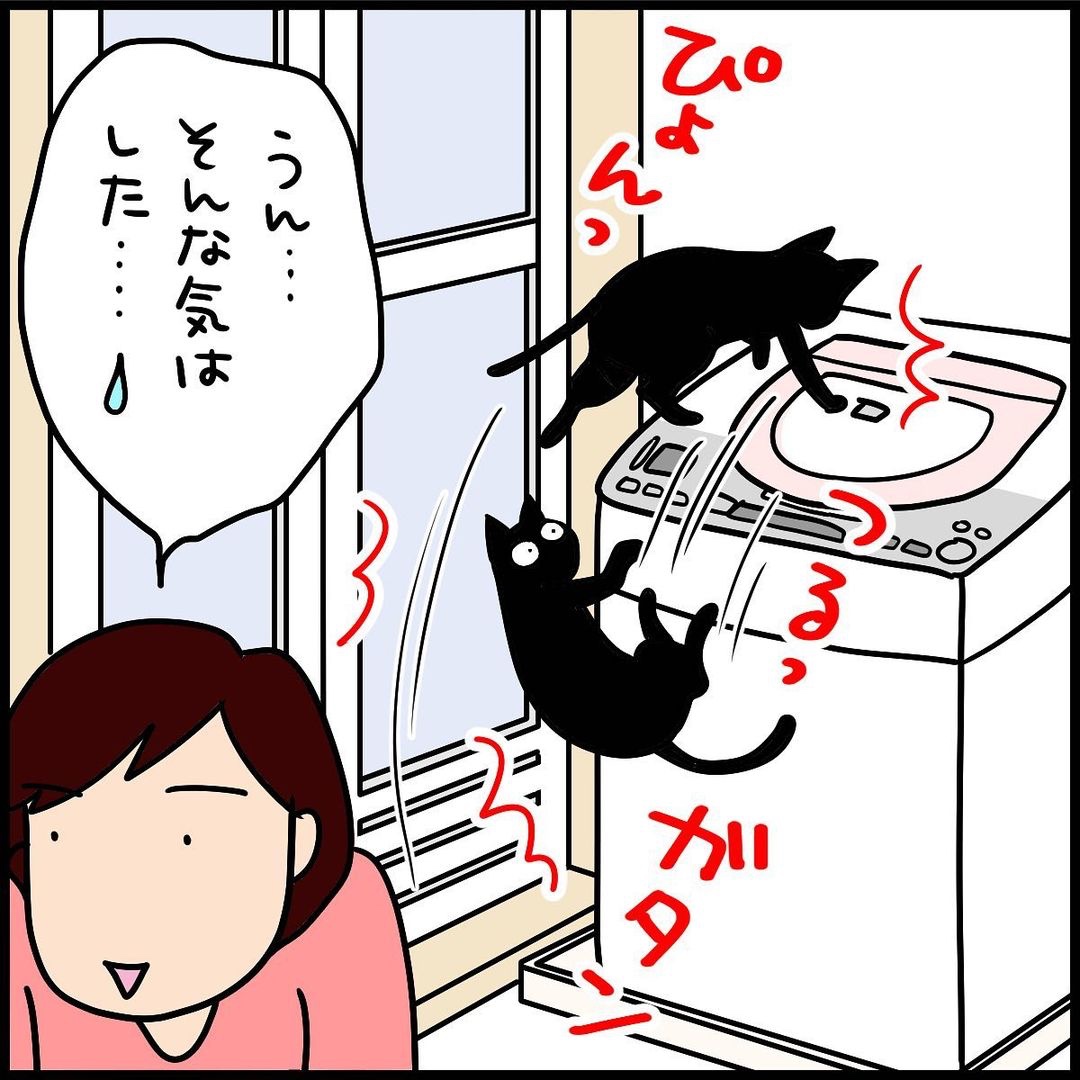 漫画　猫　洗濯機