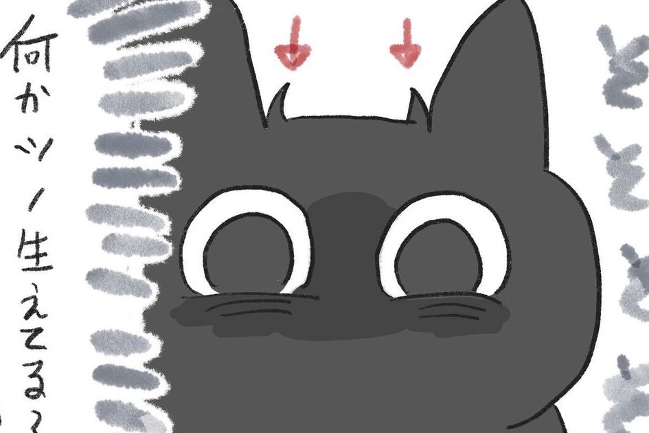 【漫画】第22話：ニャンコが“鬼”に…！？黒猫さんの新たな一面が可愛くてクスッ♡【くろもくん】