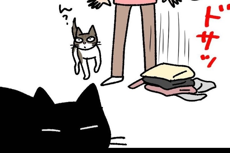【漫画】第109話：やっぱりそこで寝たかった？！妹猫に気を遣うニャンコが愛おしい♡【ナノくん】