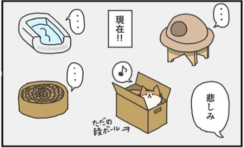 猫　快適グッズ　漫画