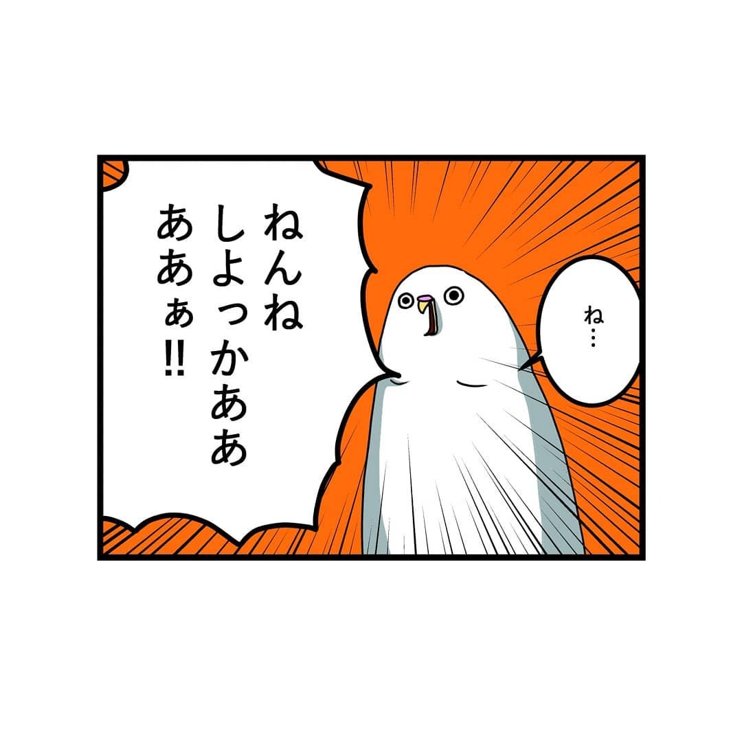 インコ　挨拶　漫画