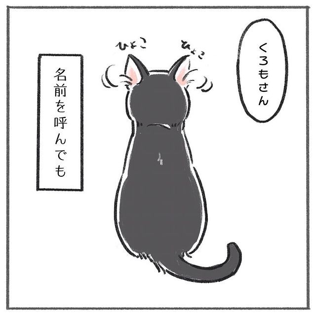 猫　イカ耳　漫画