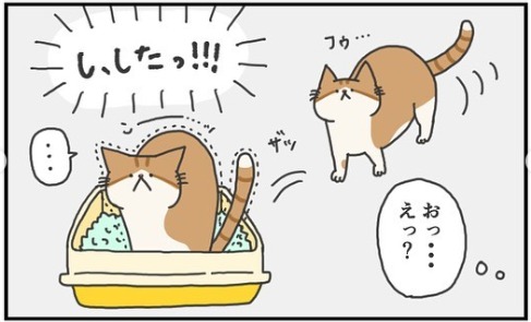 猫　トイレ　漫画