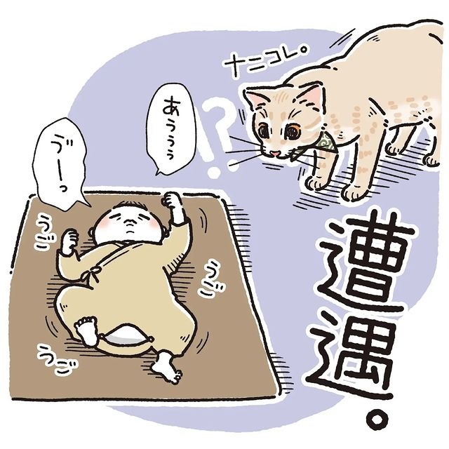 猫　赤ちゃん　漫画