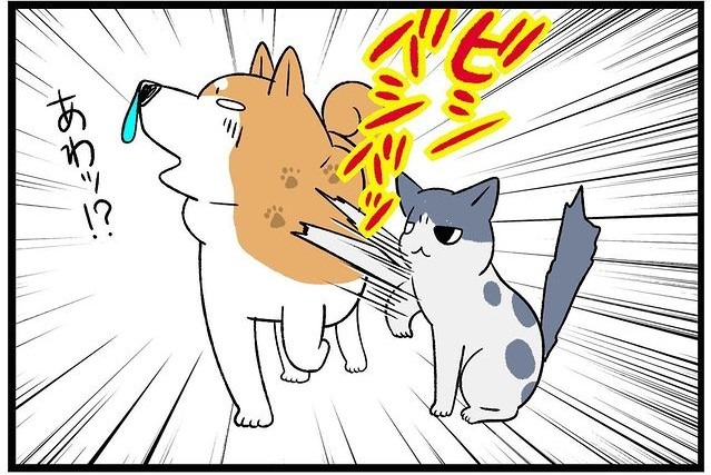 【漫画】第93話：か弱い保護猫ちゃんが大変身！姉犬に突然パンチするニャンコ【ななほしちゃん】