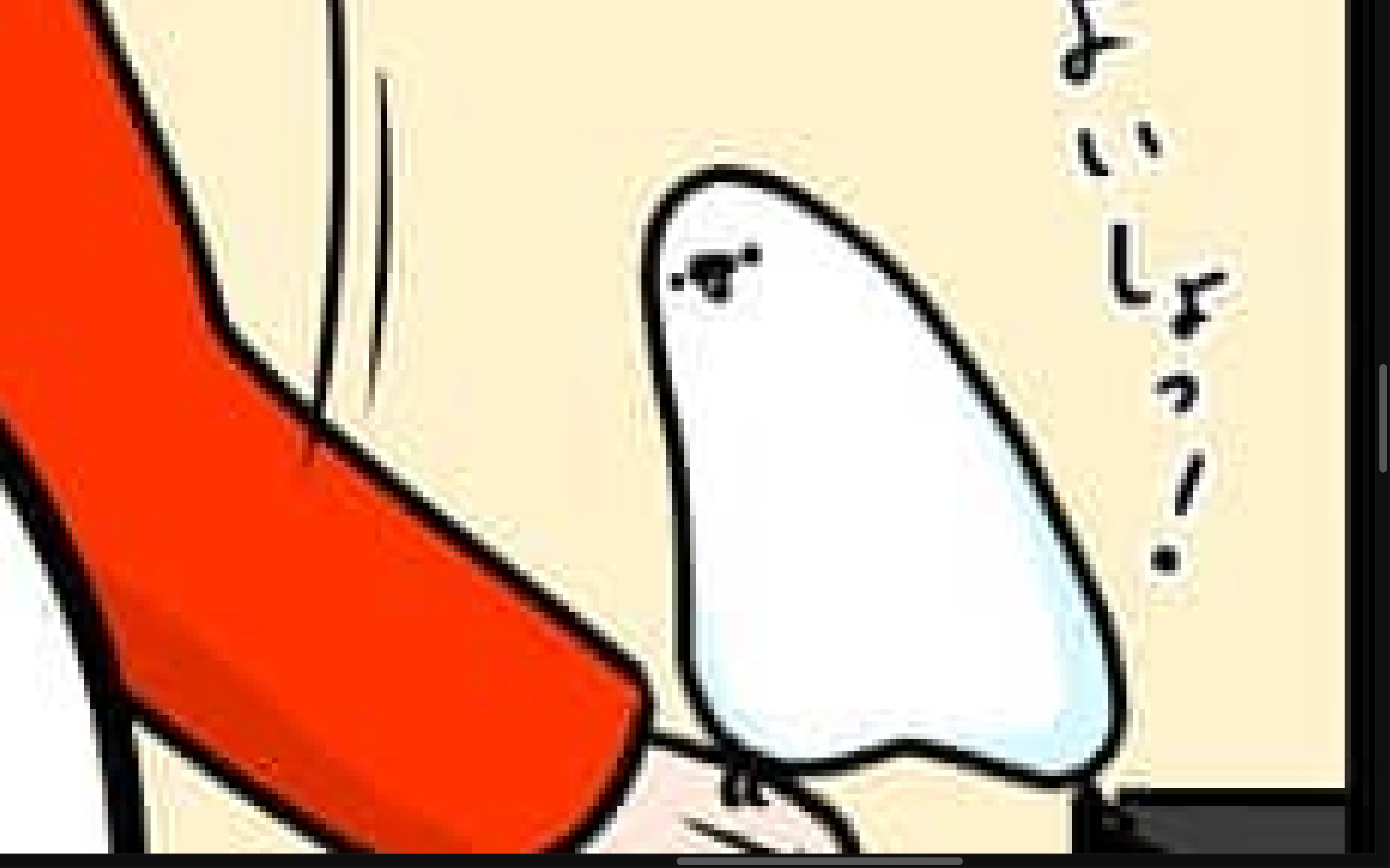 【漫画】第78話：「楽が一番」せっかく飛べるのに翼を使うことを渋るインコにクスッ♪【マロくん】