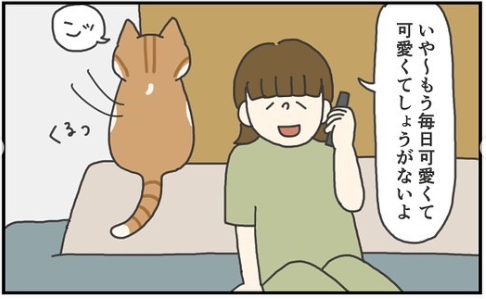 猫　電話　漫画