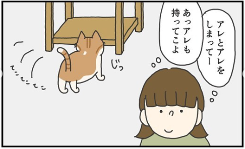 猫　棚　漫画