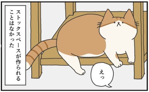 猫　占領　漫画