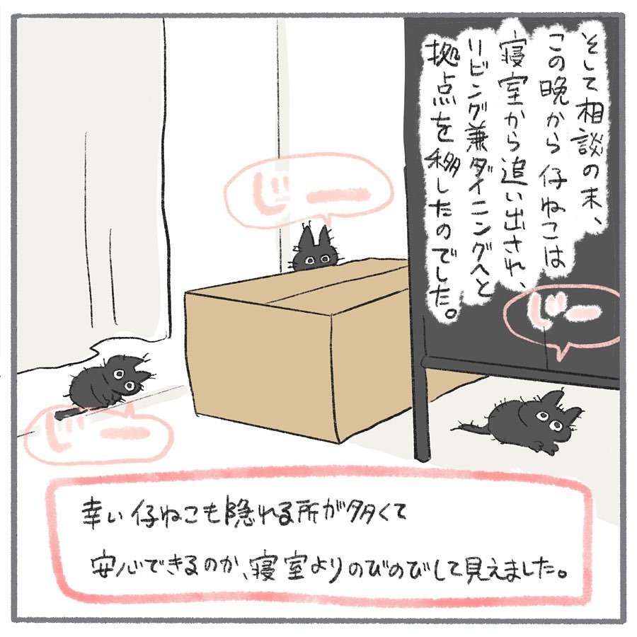 猫　移動　漫画