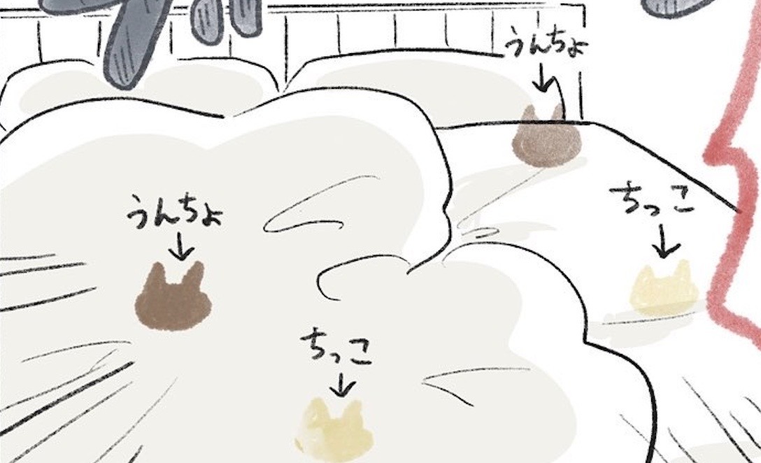【漫画】第35話：ベッドでしちゃったニャン…。寝室をトイレにしてしまう猫くん【くろもくん】