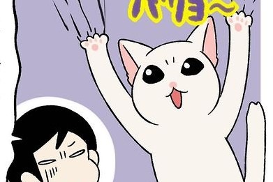 【漫画】第101話：壁だけは死守！爪をとぎたい猫さんVS飼い主さんの攻防【すずらんちゃん】