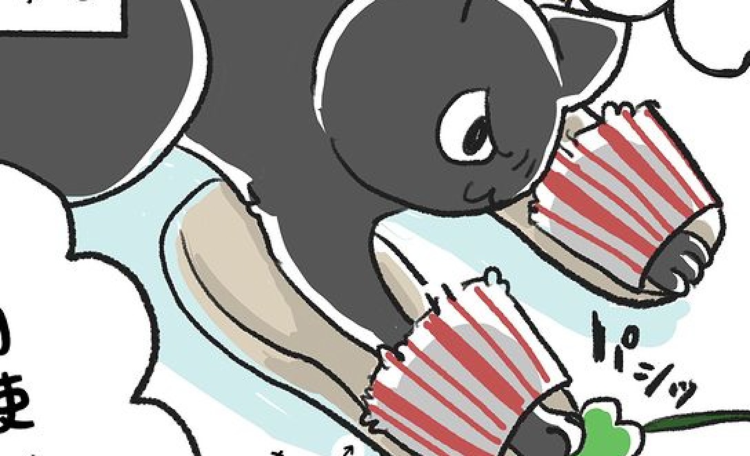 【漫画】第55話：大きくなっても可愛い♡スリッパに手を入れる猫くんにキュン【くろもくん】