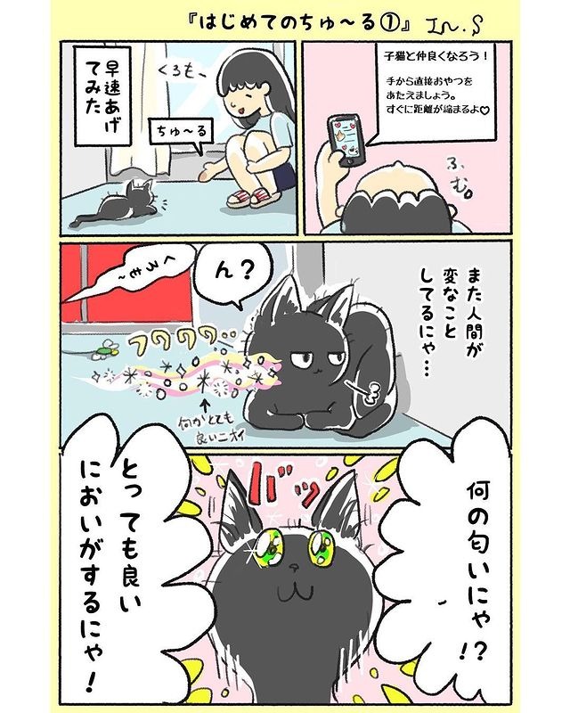 猫　匂い　漫画