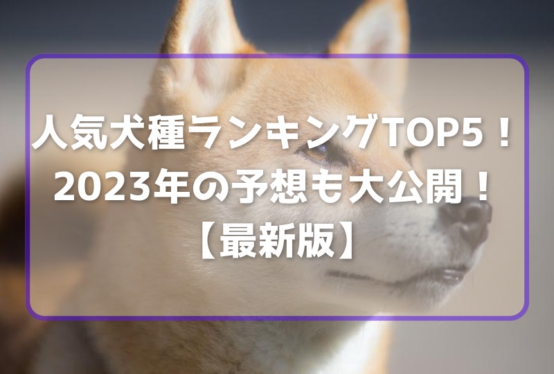 【最新版】人気犬種ランキングTOP5！2023年の予想も大公開！