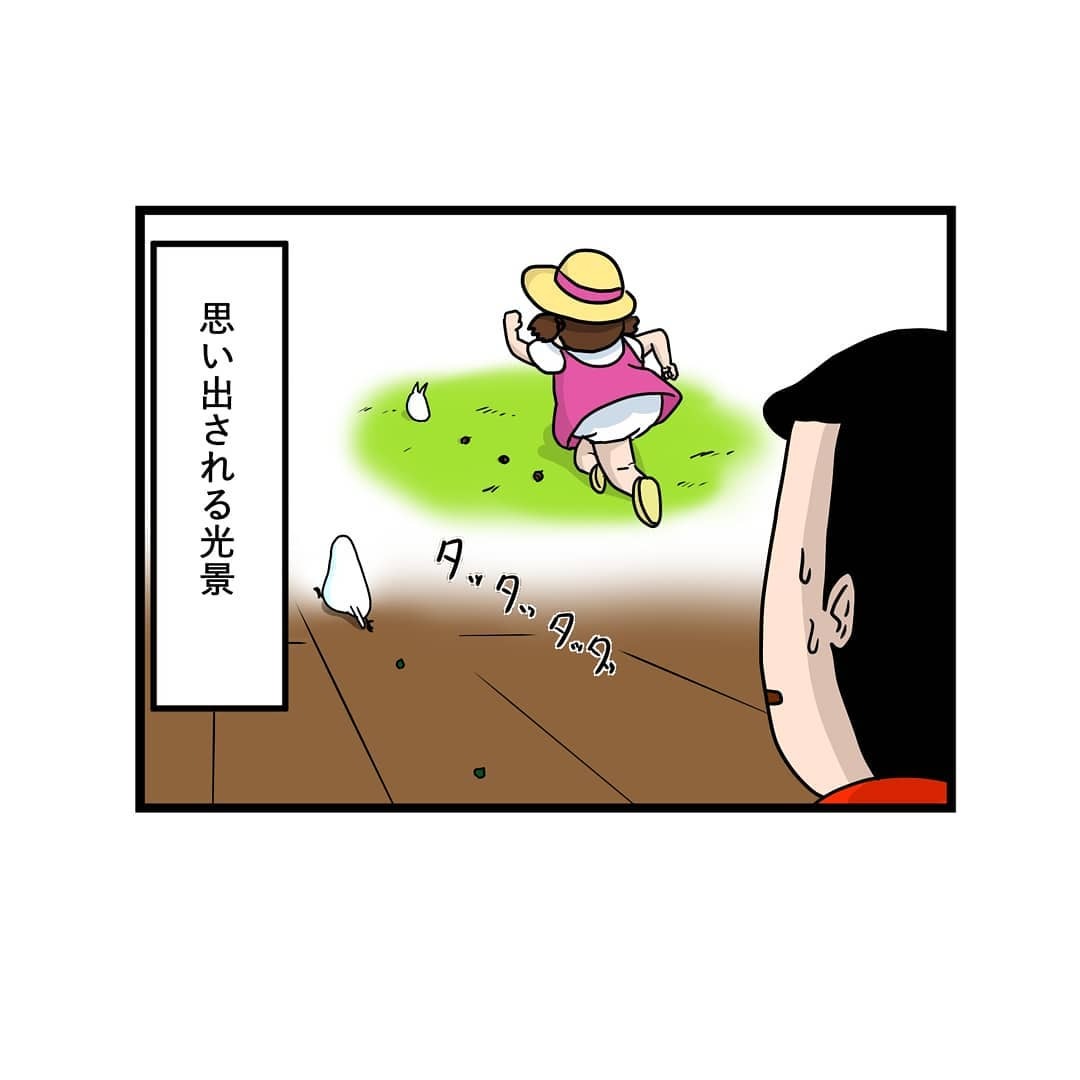 インコ　走る　漫画