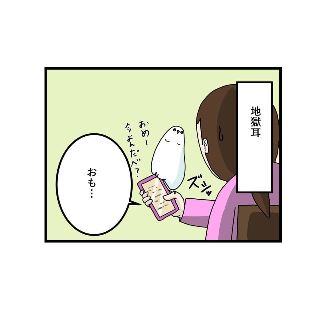 インコ　耳　漫画