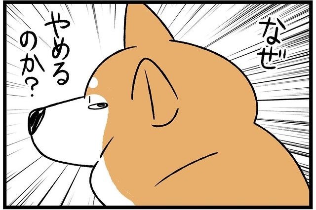 【漫画】第103話：わかりにくすぎるよ～！無表情でナデナデを堪能する柴犬さん【どんぐりちゃん】