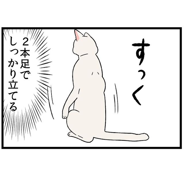 猫　立つ　漫画