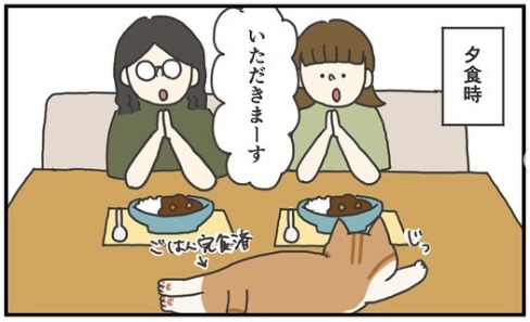 猫　お食事　漫画