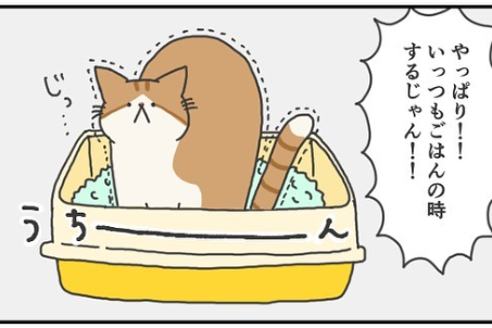 【漫画】第66話：「食事中にもよおしちゃう♪」最高のタイミングでトイレしたくなるニャンコに爆笑【ふとしくん】