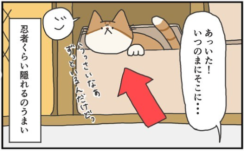 猫　忍者　漫画