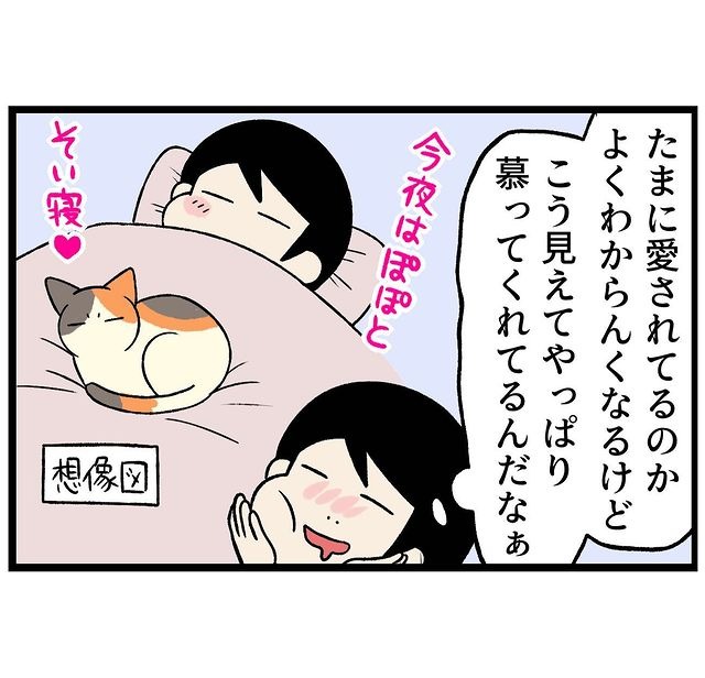 猫　添い寝　漫画