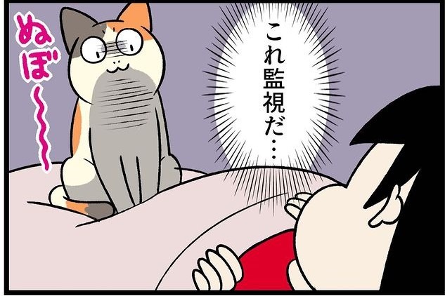 【漫画】第110話：添い寝してくれると思いきや…。上から監視するだけの猫さん【たんぽぽちゃん】