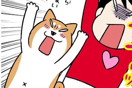 【漫画】第111話：猫さんが飛び出てビックリ！側溝のチェックを楽しむ柴犬さん【どんぐりちゃん】