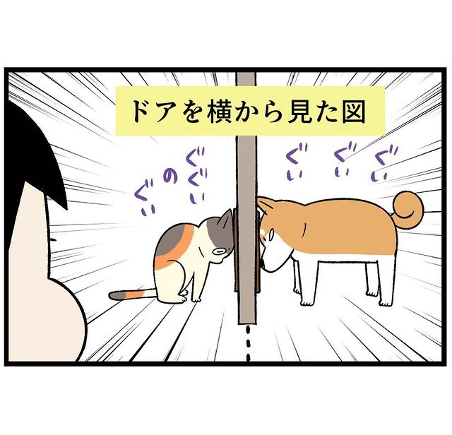 犬　猫　漫画