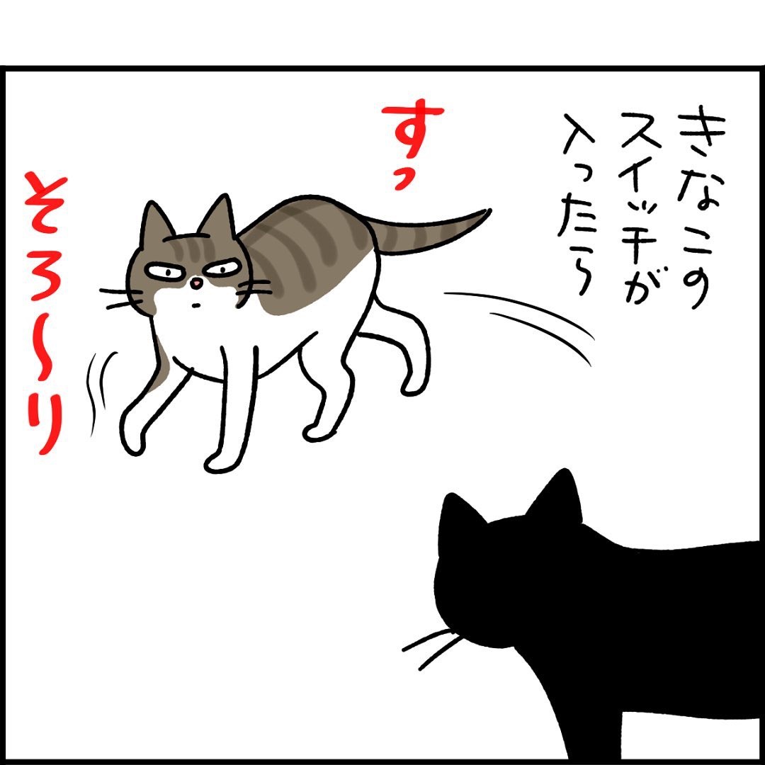 漫画　猫　喧嘩