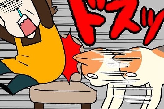 【漫画】第114話：まさかの押し出し！力ずくで飼い主さんの座椅子を奪うニャンコ【たんぽぽちゃん】