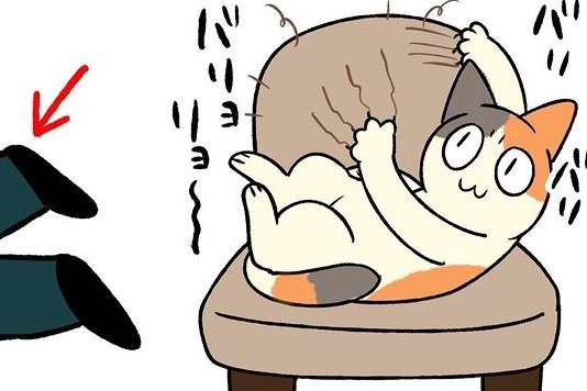 【漫画】第115話：「半分こじゃイヤ！」座椅子を独り占めしたいニャンコ【たんぽぽちゃん】