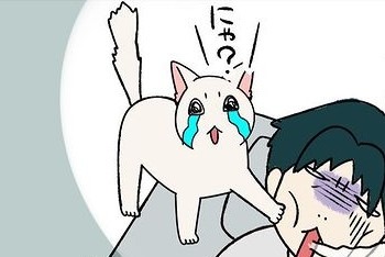 【漫画】第119話：真夜中はムリ〜！「パパが遊んでくれない」と大泣きする猫さん【すずらんちゃん】