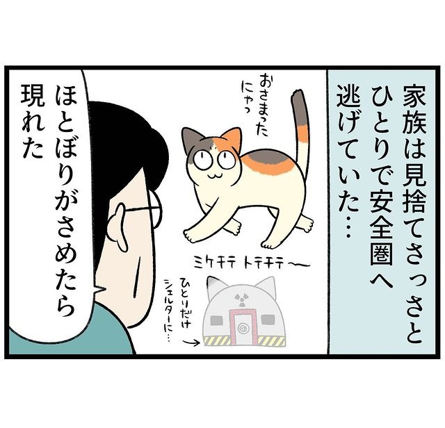 猫　シェルター　漫画