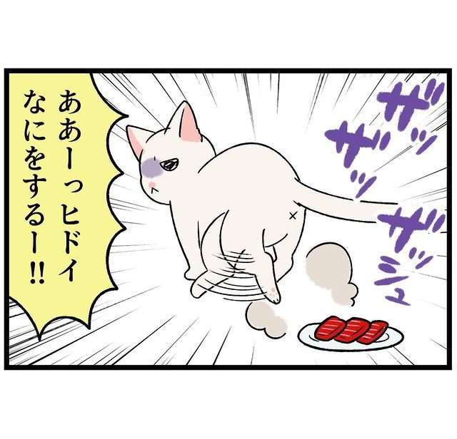 猫　刺身　漫画