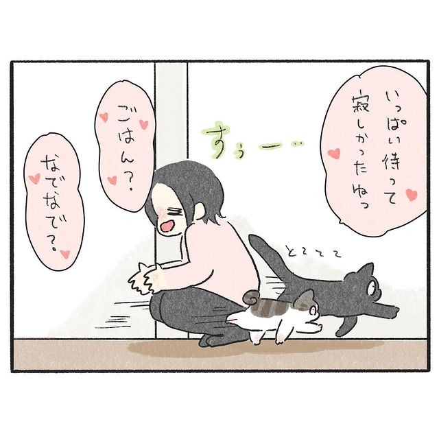 猫　スルー　漫画