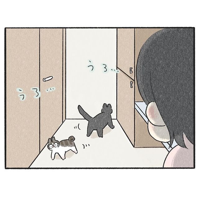 猫　ウロウロ　漫画